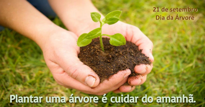 Plantar uma árvore é cuidar do amanhã